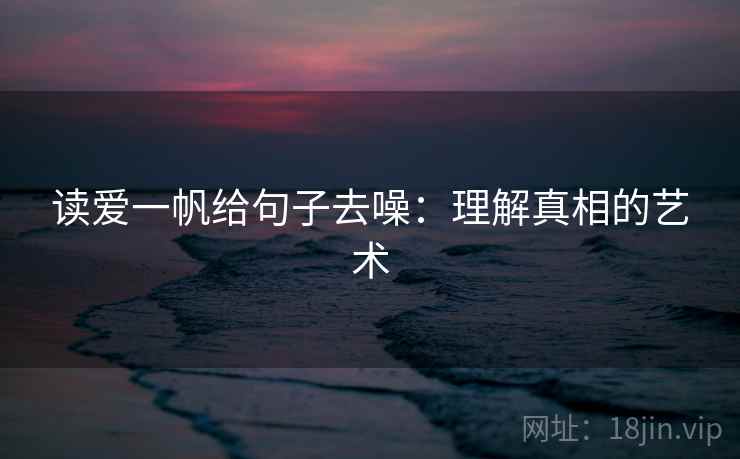 读爱一帆给句子去噪：理解真相的艺术