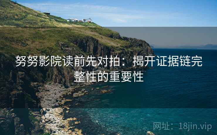 努努影院读前先对拍：揭开证据链完整性的重要性