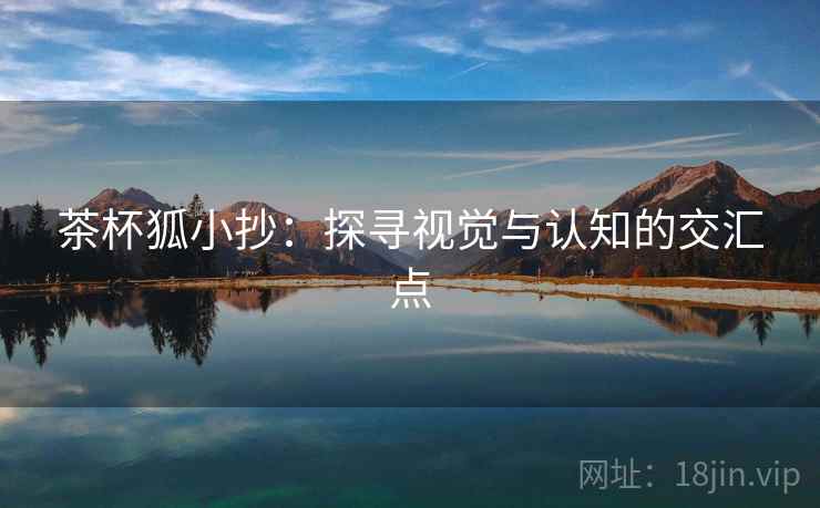 茶杯狐小抄：探寻视觉与认知的交汇点